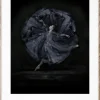 Dekoration|Sovrum|Paper Collective Poster 'Essence of Ballet 06' 50x70 - Svart/Vit