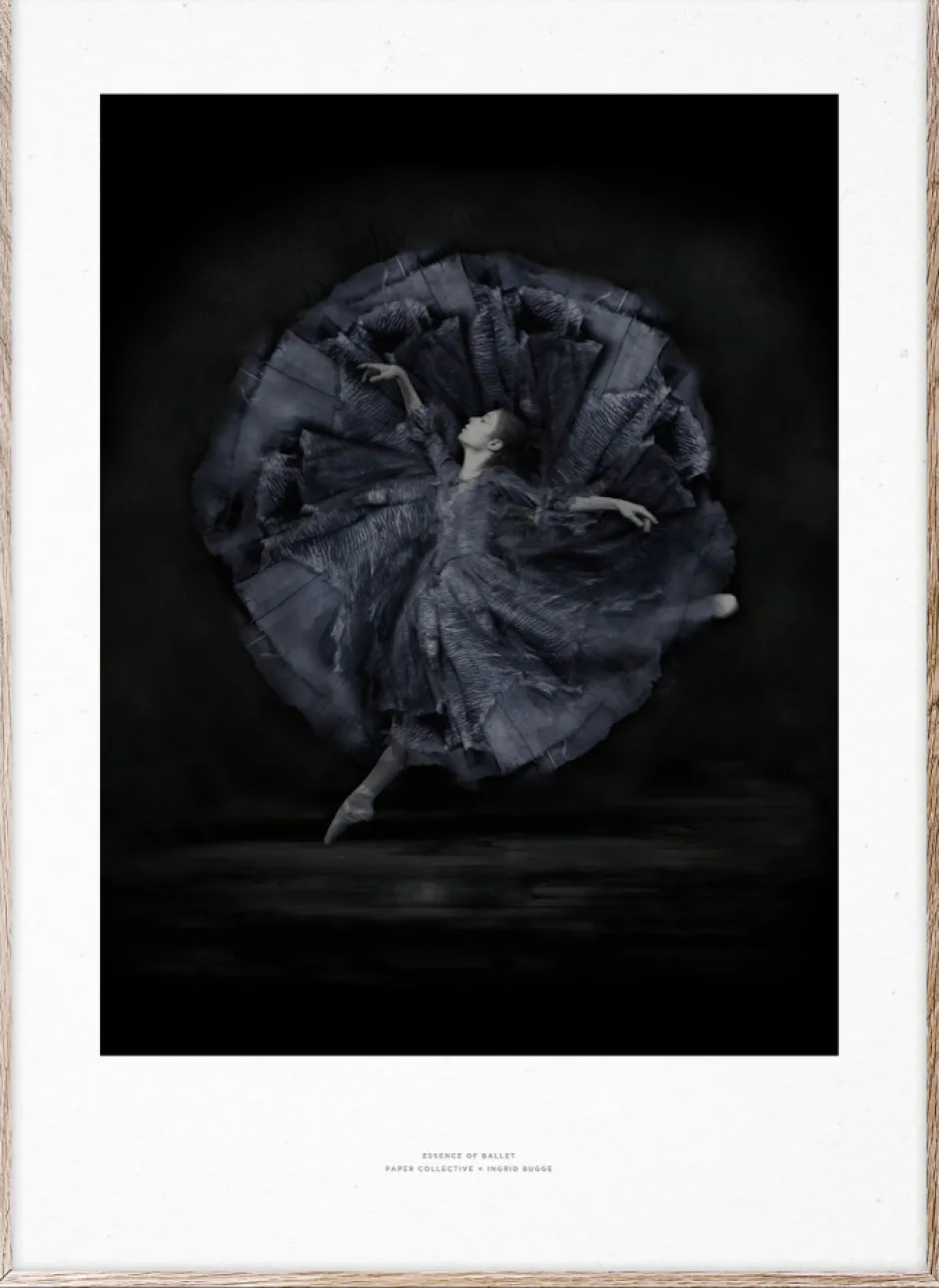 Dekoration|Sovrum|Paper Collective Poster 'Essence of Ballet 06' 50x70 - Svart/Vit